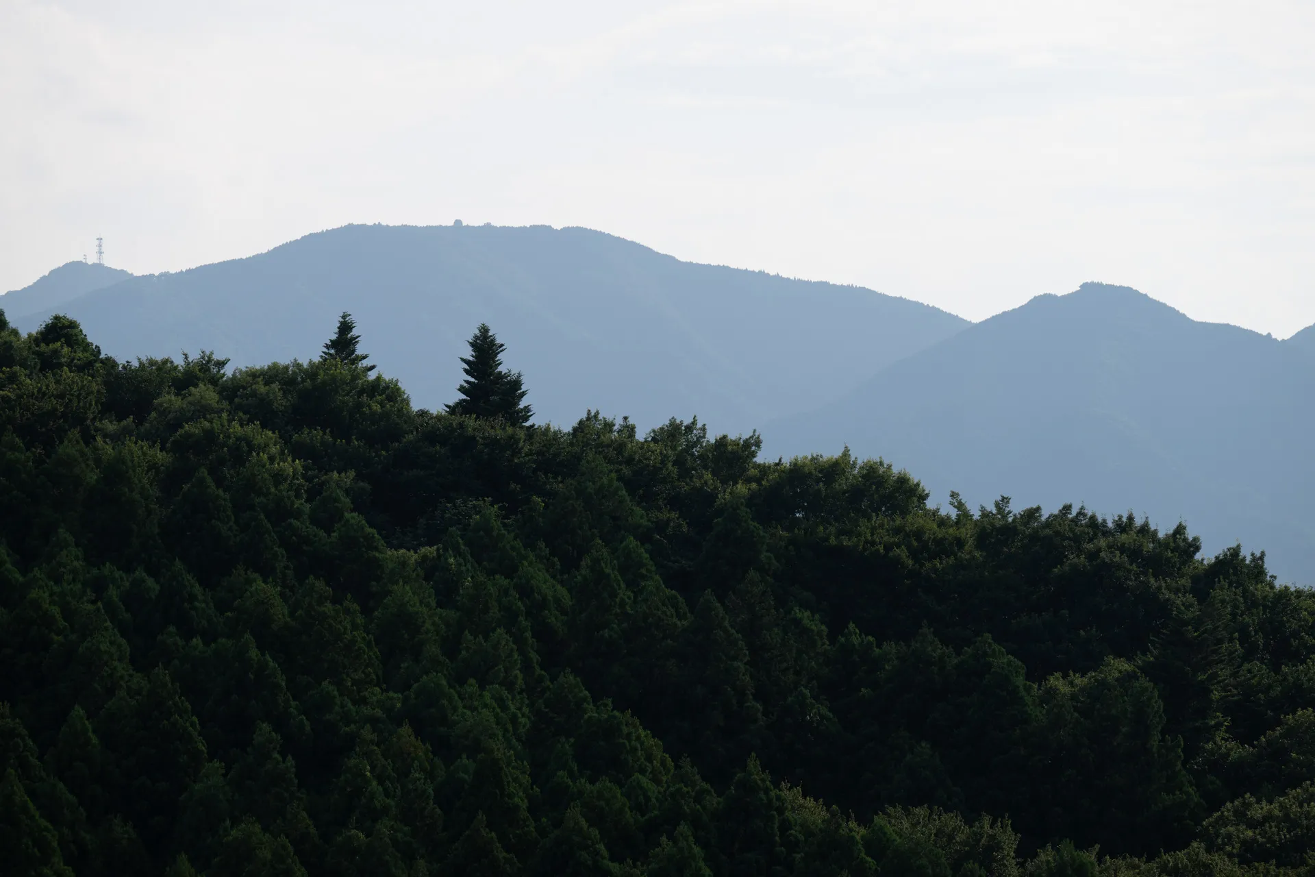 堂平山（どうだいらさん）方面