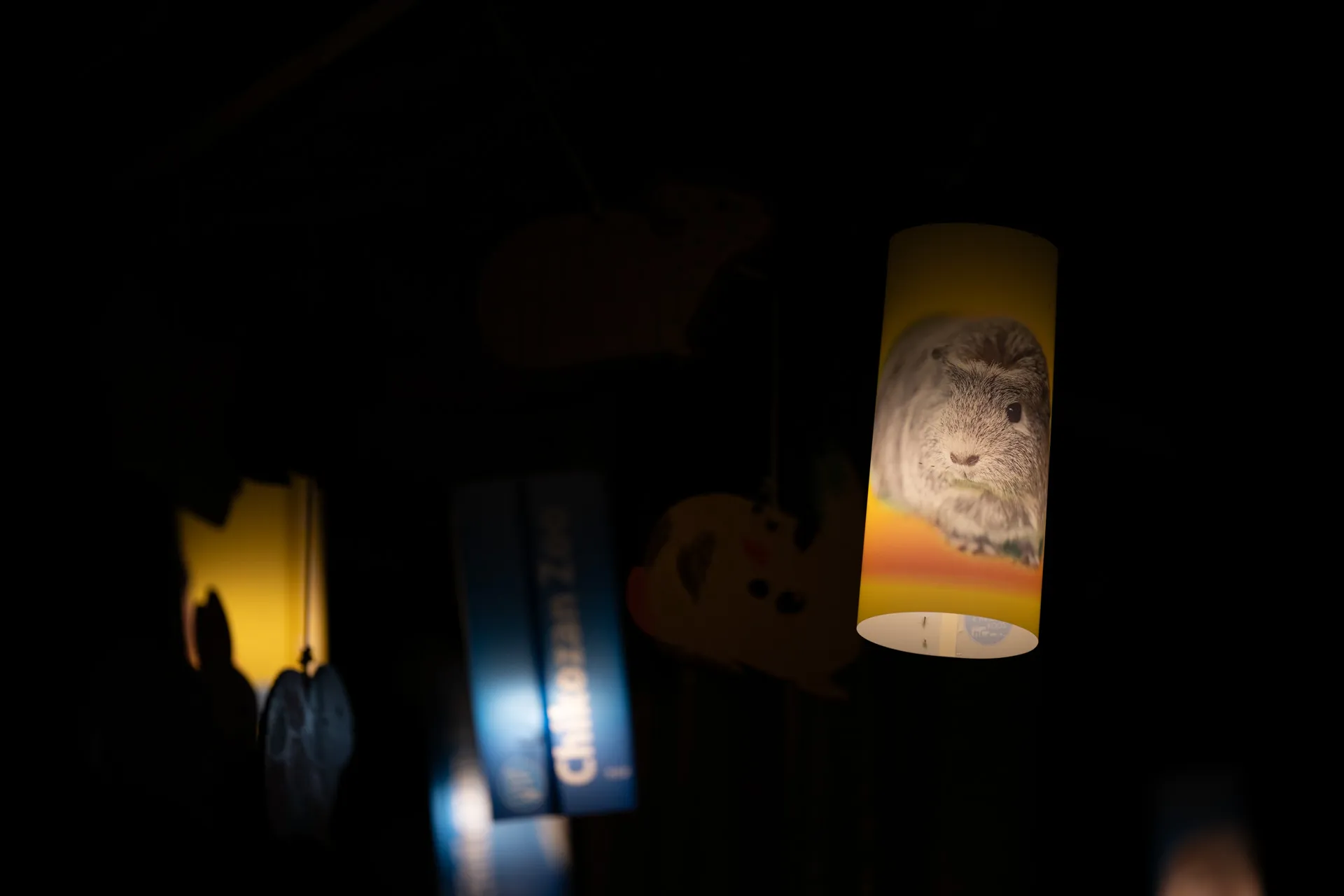 どうぶつランタン