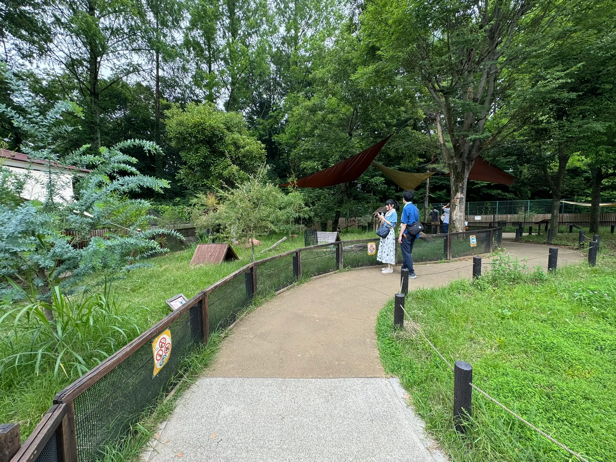 クオッカアイランド